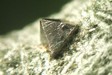 Magnetite